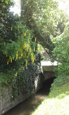 ©Sellen. Un ruisseau traverse le parc de La Paliole.