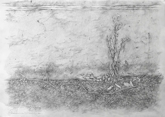 "Überlebenskünstler", Bleistift auf Papier, 70x50cm, 2023