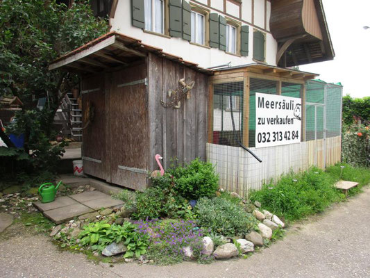 Unser Meerschweinchenhaus, bereits etwas in die Jahre gekommen, aber immer noch ideal