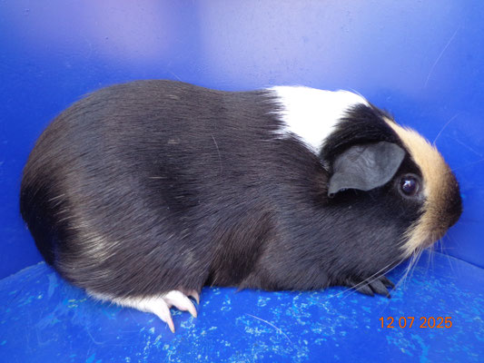 Gunter, geb. 6.3.25