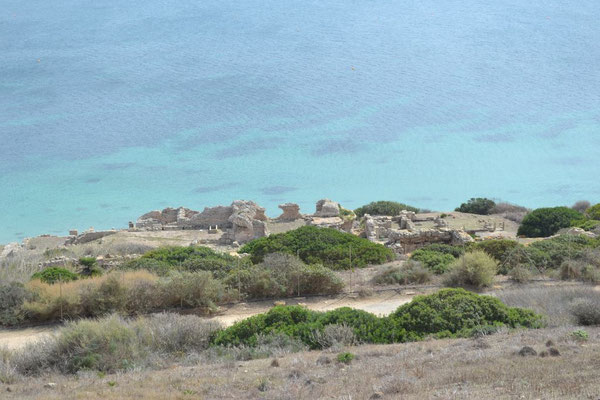 Phönizische und römische Ausgragunben auf Tharros