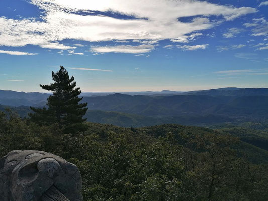 am Mont Aigoual