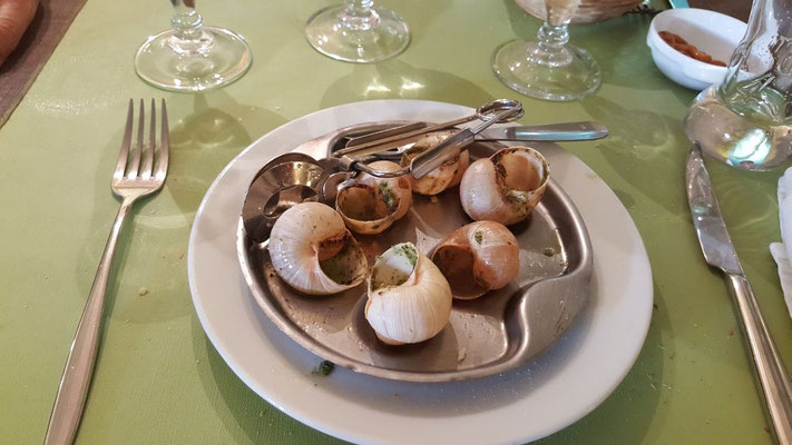 Zum Abschluss noch einmal Schnecken :-)