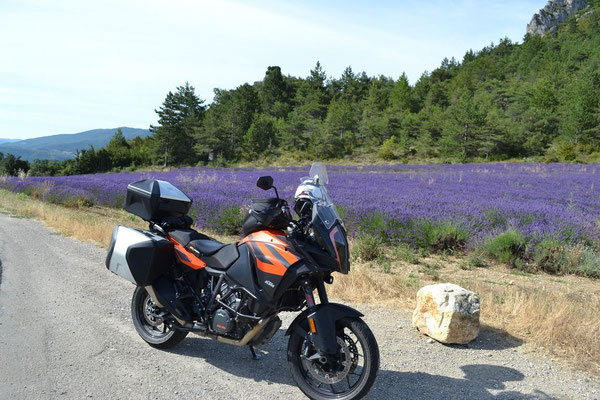 Col de Peyruergue 