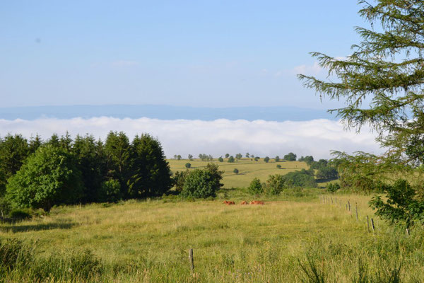 Nebel im Tal - Fahrt von Le Puy-en-Verlay
