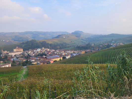Blick auf Barolo