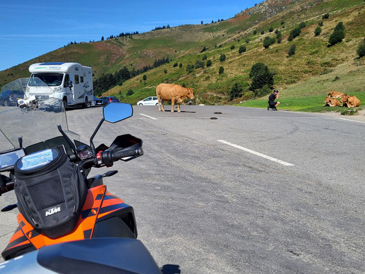 am Col d'Aspin