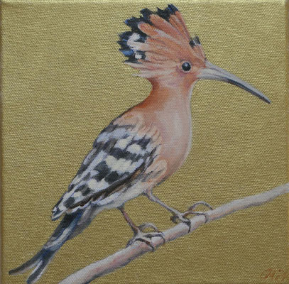 Wiedehopf auf Goldgrund, 20 x 20 cm, Ölfarbe a. LW