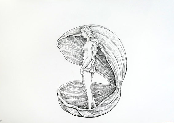 Venus Seite links, Stift, 42 x 60 cm