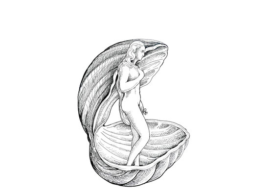 Venus Seite rechts02, Stift, 42 x 60 cm
