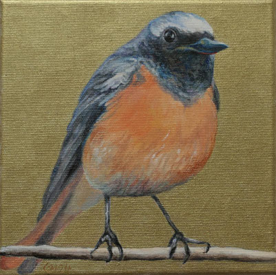 Gartenrotschwanz auf Goldgrund, 20 x 20 cm, Ölfarbe a. LW