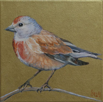 Bunthänfling auf Goldgrund, 20 x 20 cm, Ölfarbe a. LW