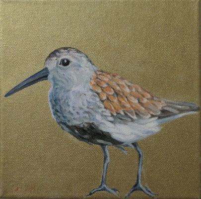 Alpenstrandläufer auf Goldgrund, 20 x 20 cm, Ölfarbe a. LW