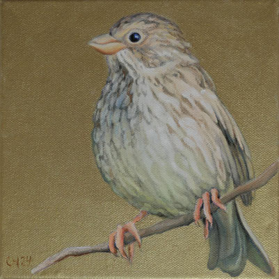 Grauammer auf Goldgrund, 20 x 20 cm, Ölfarbe a. LW