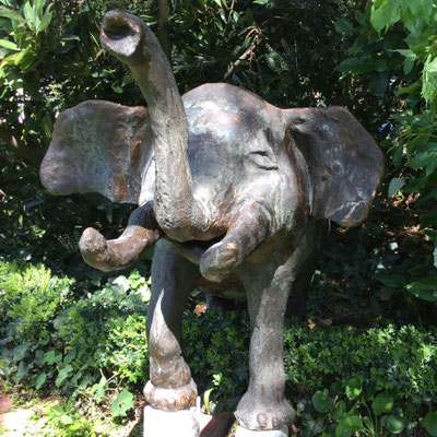 Elefant von Birgit Braun