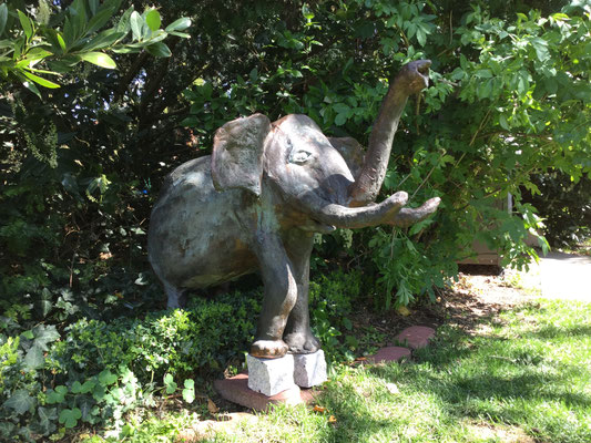 Elefant von Birgit Braun