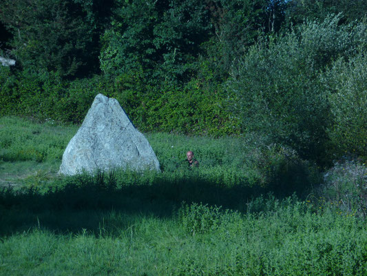 Menhir de la Crulière Harmonisation 