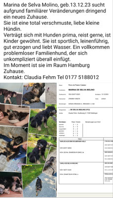 Inserat