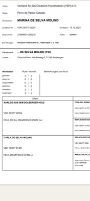 M Wurf von Carla und Karlos