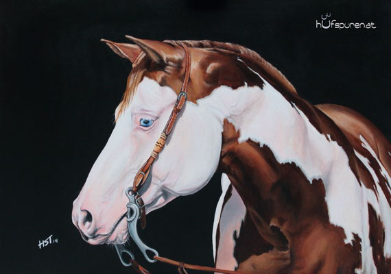 Paint Horse "Color My Gun", Acryl auf Leinwand, 50x70, 2014, Pferdemalerei von Hanna Stemke, www.hufspuren.com