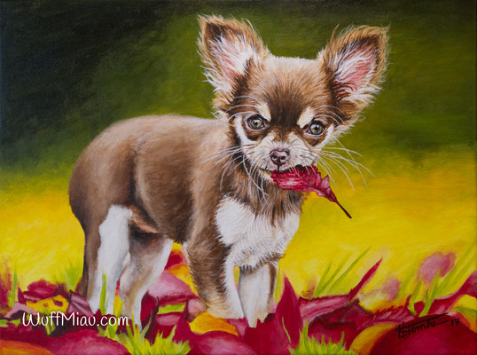 Original Chihuahua Luna im Herbst Acrylgemälde