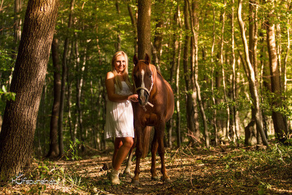 Pferdefotoshooting im Wienerwald: Deutsches Reitpony