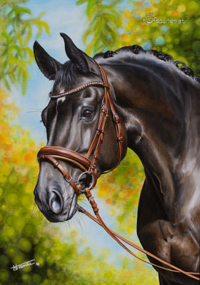 Österreichisches Warmblut "LAG's Rianella", Acryl auf Leinwand, 100x70, 2018, Pferdemalerei von Hanna Stemke, www.hufspuren.com