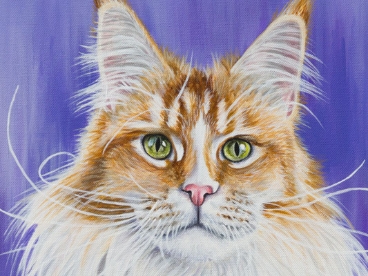 Detail Main Coon Acryl auf Leinwand