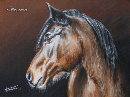 Süddeutsches Kaltblut "Wanda", Acryl auf Leinwand, 40x30, 2016, Pferdemalerei von Hanna Stemke, www.hufspuren.com