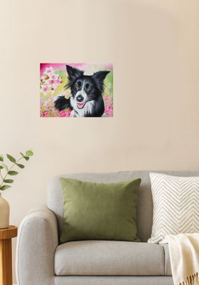 Border Collie Helle Wand