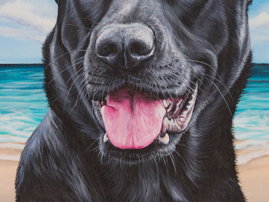 Detail Schnauze Schäferhund in Acryl auf Leinwand