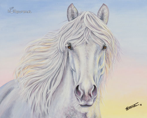 Isländer "Erla von Heidmoor", Acryl auf Leinwand, 50x40, 2018, Pferdemalerei von Hanna Stemke, www.hufspuren.com (Fotovorlage Mareike Reimers)