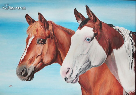 Quarter Horse-Mix und Paint Horse "Kadou und Vicky", Acryl auf Holzplatte, 50x70, 2014, Pferdemalerei von Hanna Stemke, www.hufspuren.com