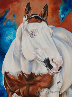 Paint Horse "King Bars Dee Vicky", Acryl auf Leinwand, 80x60, 2015, Pferdemalerei von Hanna Stemke, Hufspuren