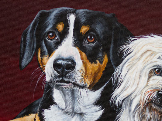 Detail Kopf Acryl Hund