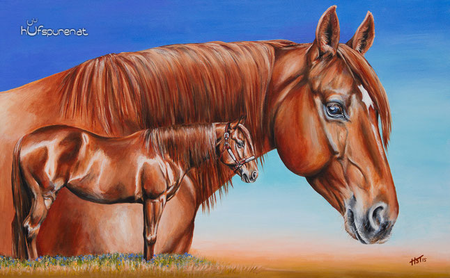 Quarter Horse "Sultans Diamond", Acryl auf Leinwand, 105x65, 2015, Pferdemalerei von Hanna Stemke, www.hufspuren.com