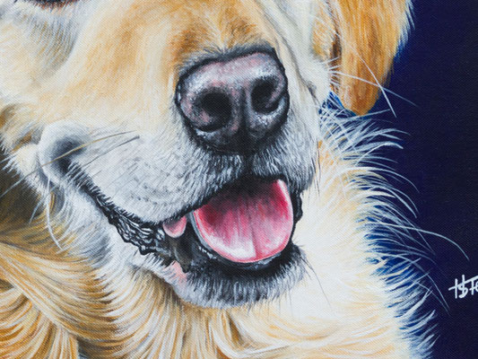 Maul Detail Hundegemälde