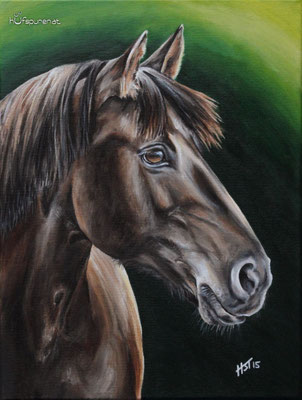 Huzule "Pandora", Acryl auf Leinwand, 40x30, 2015, Pferdemalerei von Hanna Stemke, www.hufspuren.com