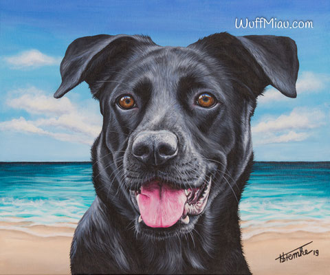 Frida Hundegemälde Schäferhund Original