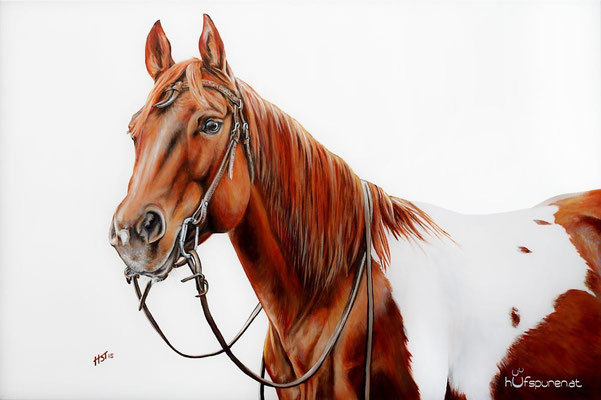 Paint Horse "SR Boomers Catweazle", Acryl auf Leinwand, 120x80, 2015, Pferdemalerei von Hanna Stemke, www.hufspuren.com