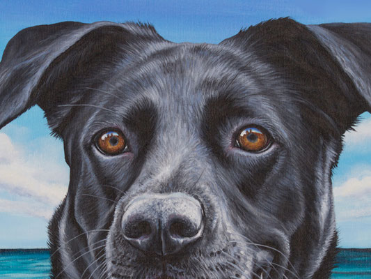 Detail Augen Hundeaugen in Acryl