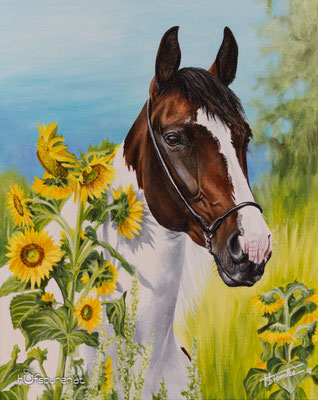Ungarisches Warmblut Mix "Sidney", Acryl auf Leinwand, 50x40, 2016, Pferdemalerei von Hanna Stemke, www.hufspuren.com
