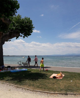 a beach on the edge of Garda Lake