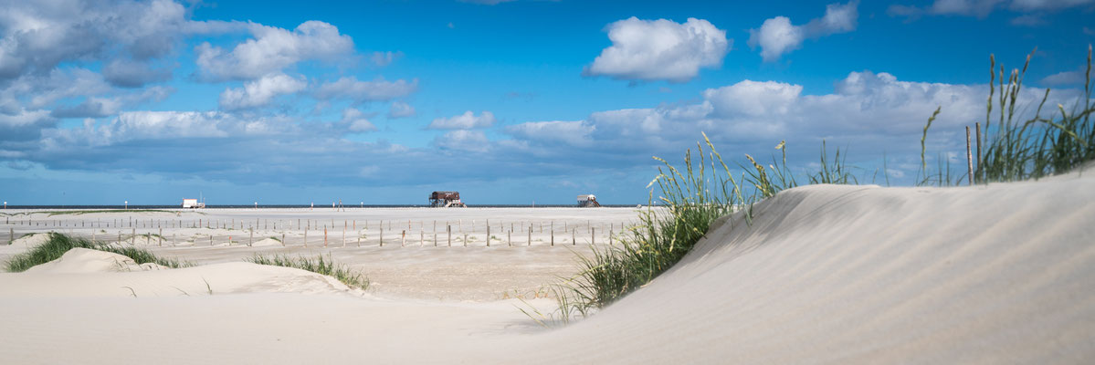 Die Dünen von Sankt Peter-Ording