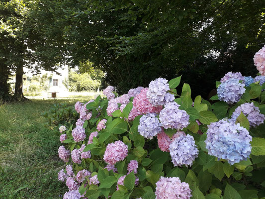 Schlosspark, Sommer ©Galerie Walker