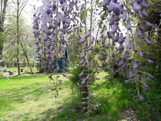 Schlosspark, Frühling ©Galerie Walker