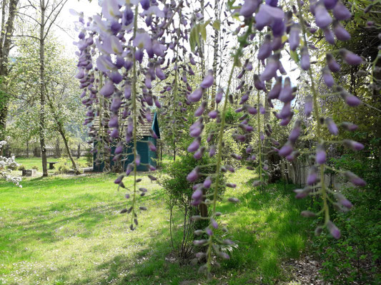 Schlosspark, Frühling ©Galerie Walker