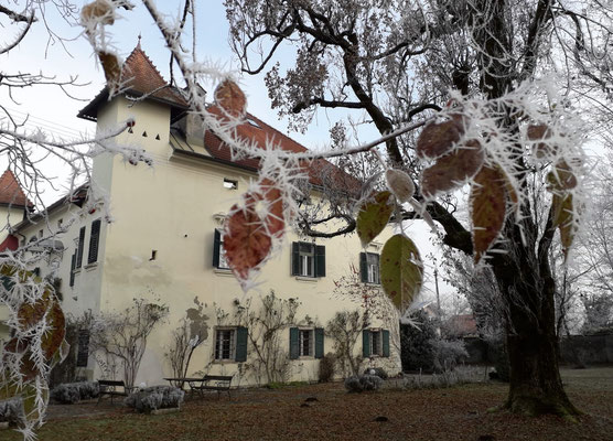 Schlosspark, Raureif im November ©Galerie Walker