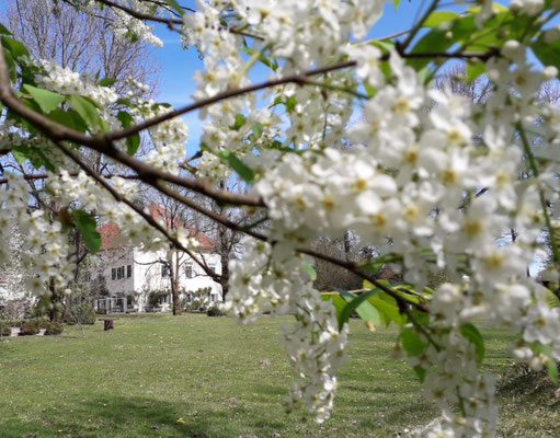 Schlosspark, Frühling ©Galerie Walker