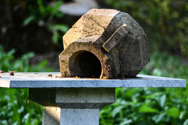 Schlosspark im Sommer ©Galerie Walker